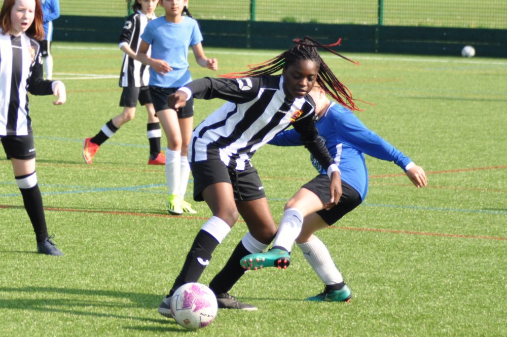 Wildcat in black and white dribbes around player in blue